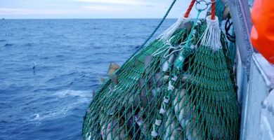 trabajar de pescador en noruega