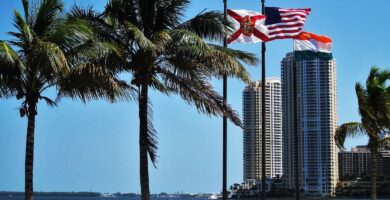 Se aprobó una identificación para inmigrantes indocumentados en Miami