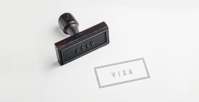 Cuáles son los lineamientos del USCIS para visas especiales