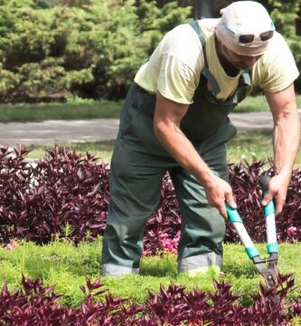 Si necesitas empleos en Dallas, ISD tiene vacantes para jardineros y conserjes