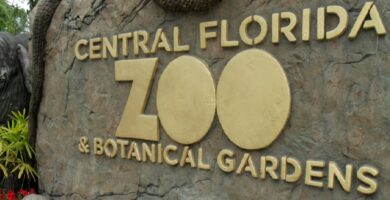 Zoológico local trae Feria de Empleos en Stanford Florida