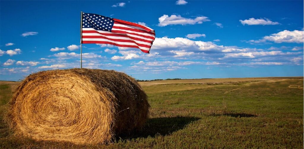 Cómo empezar una granja en EE.UU con finaciamiento de USDA