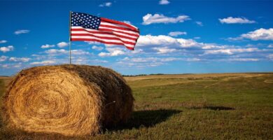 Cómo empezar una granja en EE.UU con finaciamiento de USDA