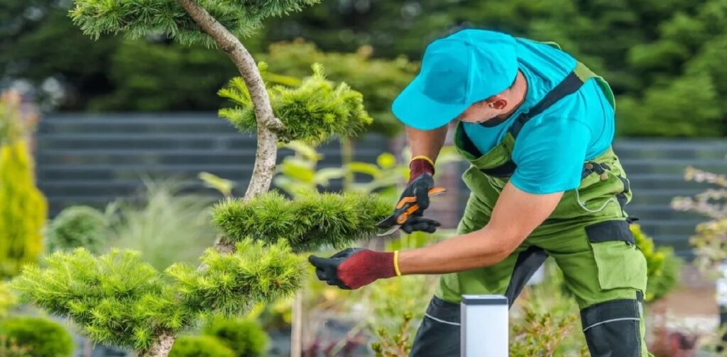 ¿Busca trabajo? Esta empresa está contratando jardineros en Miami Beach ya mismo