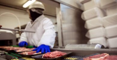 Fábrica de alimentos en Tampa ofrece trabajo para almacenistas de congelados