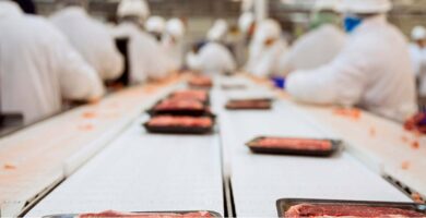 Trabajo en Tampa: personas sin experiencia para empaquetar carnes: Aplique así