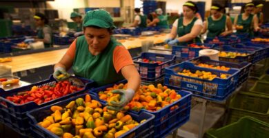 Empresa de alimentos en Pompano Beach solicita empacadores