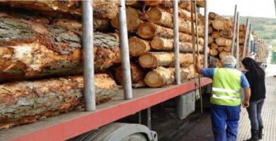 La oferta de empleo implica ganar experiencia y capacitación además de la oportunidad de obtener la cerificiación de montacargas.