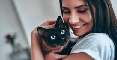 Empleos en Florida, Pagan $10 mil dólares por abrazar gatitos 