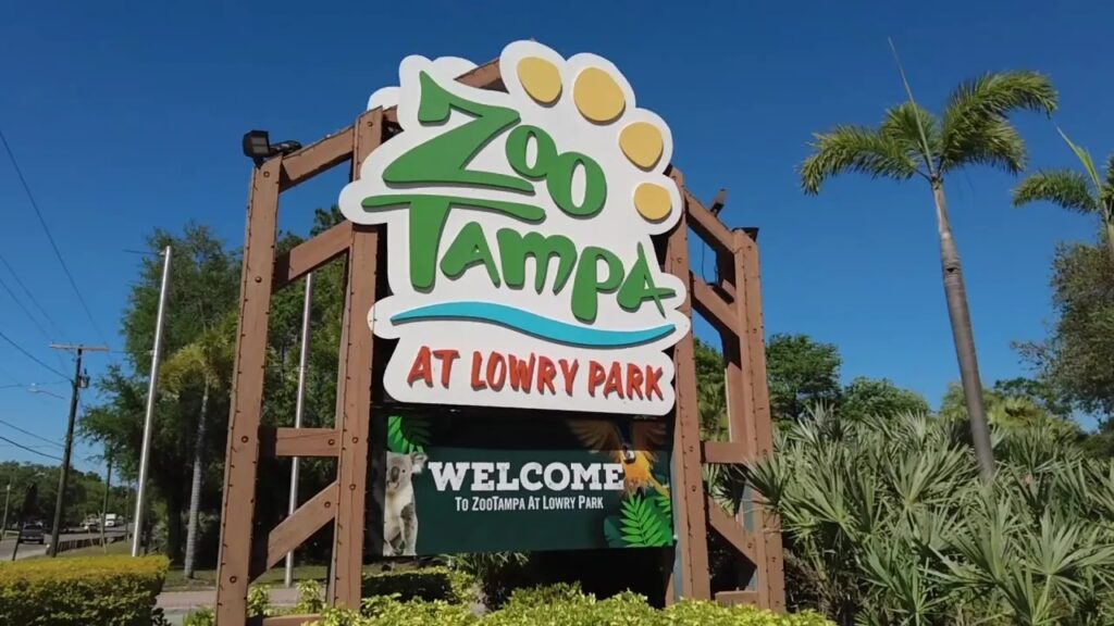 Abren ofertas de empleo temporales en el ZooTampa at Lowry Park