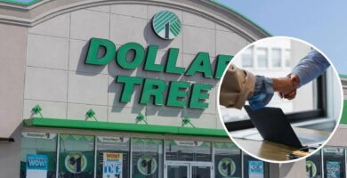 trabajo en florida dollar tree