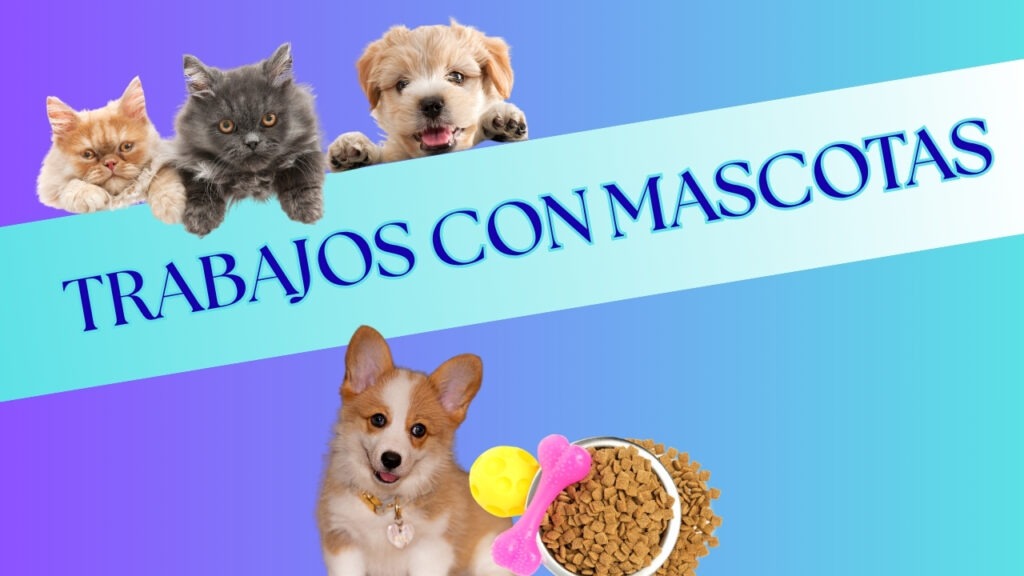 Trabajos con mascotas en Florida y Texas