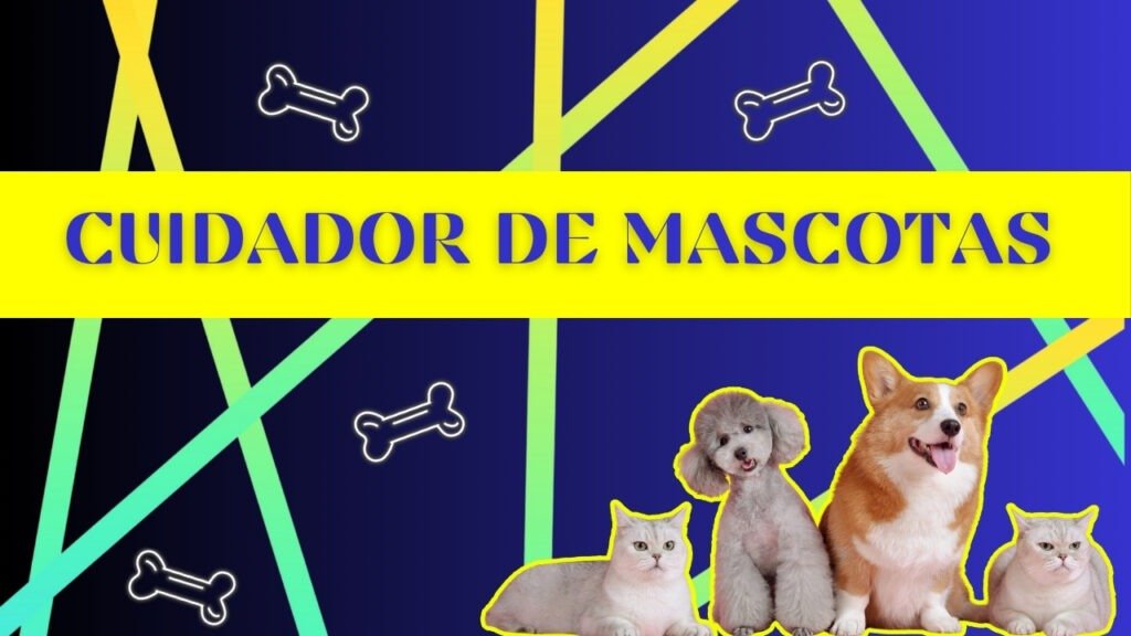 El texto del párrafo (24)