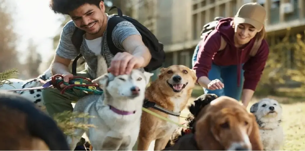 Oferta de trabajo para cuidadores de mascotas en Miami